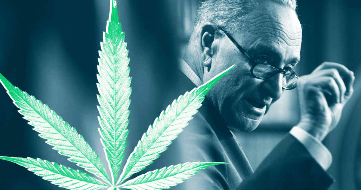 Senator Chuck Schumer to Speak at NYC Cannabis Parade & Rally on May 1